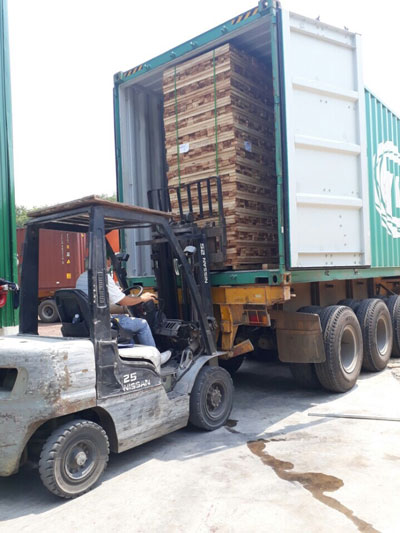 Ngành gỗ lao đao vì doanh nghiệp Trung Quốc