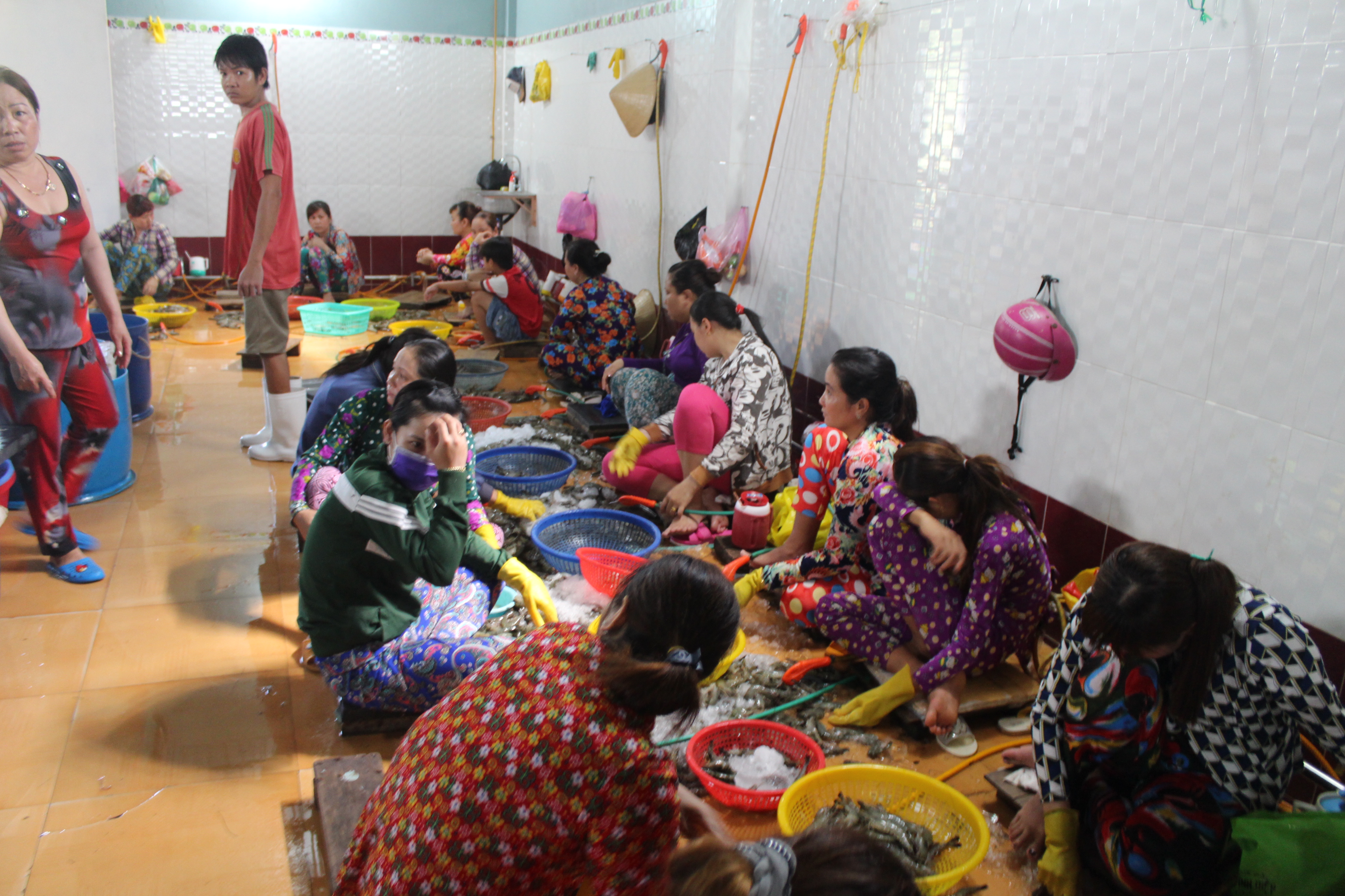 Bắt quả tang cơ sở bơm tạp chất tạo thịt giả vào tôm