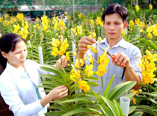 Đào tạo nhân lực nông nghiệp công nghệ cao