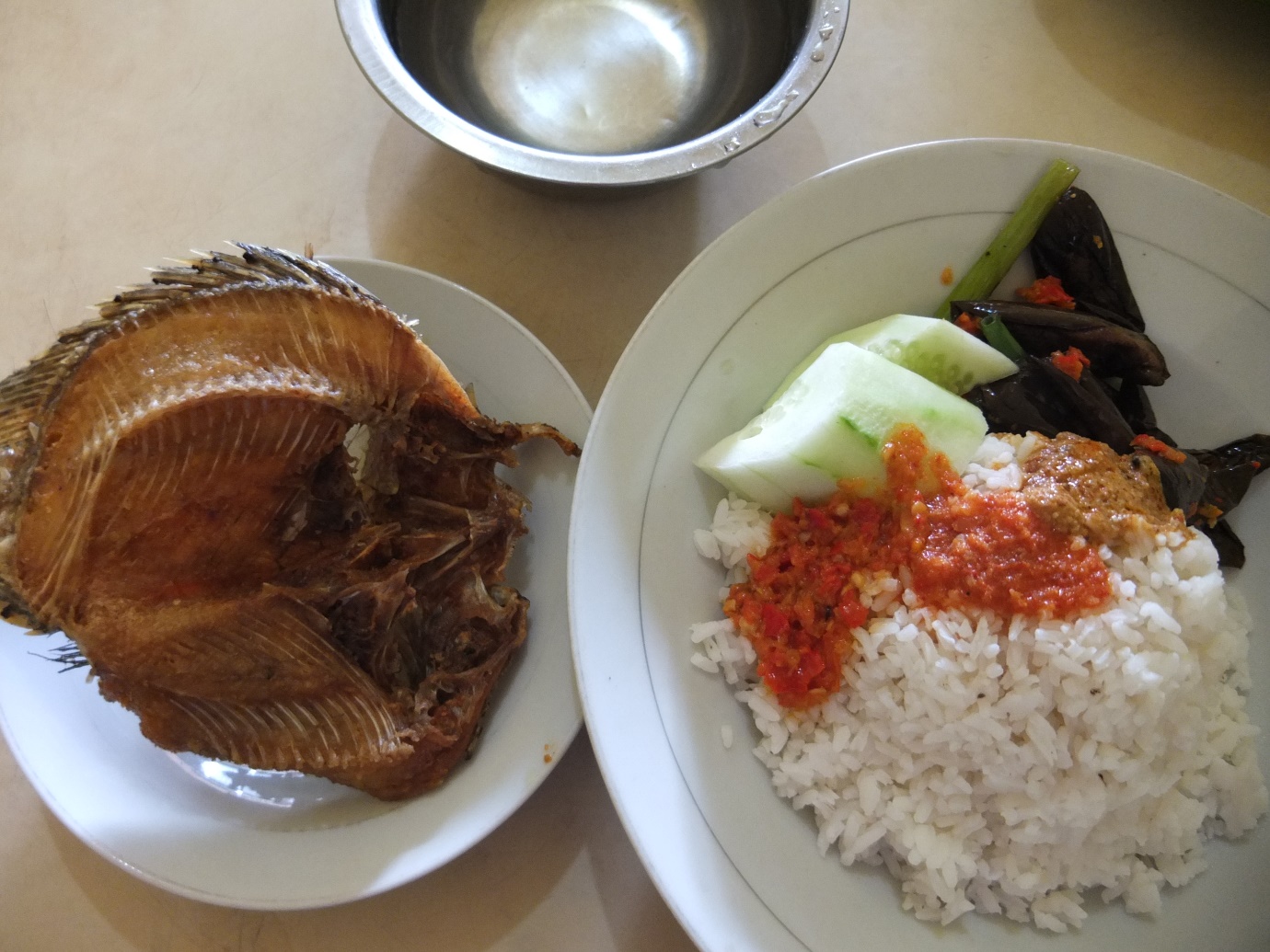 
C&aacute; chi&ecirc;n gi&ograve;n tới xương
