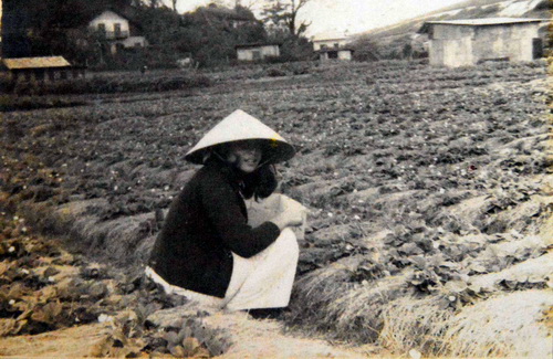 Người đầu tiên mang rau, hoa Đà Lạt về Sài Gòn 70 năm trước