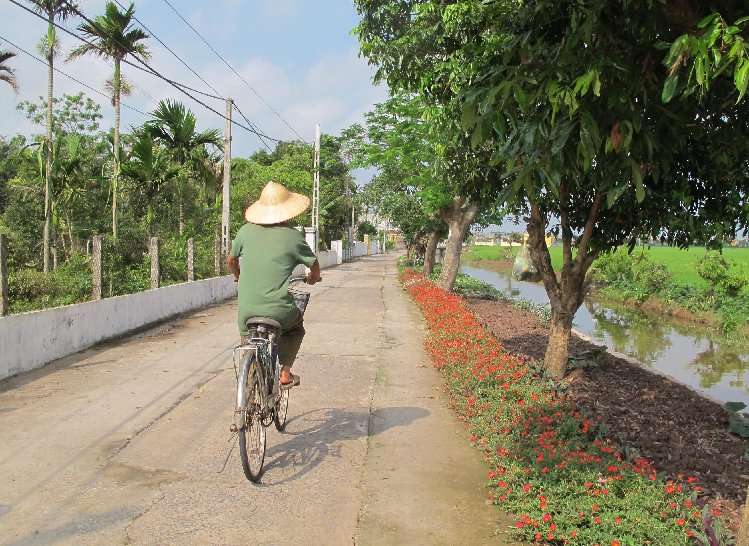 Ngỡ ngàng những con đường hoa rực rỡ làng quê miền Bắc - Ảnh 10.