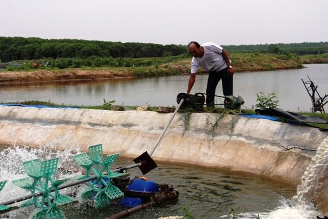 Ông “trùm” ngao ở xứ Thanh - Ảnh 2.