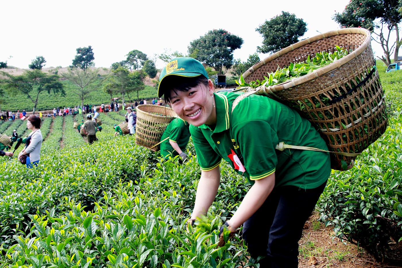 Festival hoa Đà Lạt 2017 du khách sẽ có dịp "Phiêu du xứ Bảo"