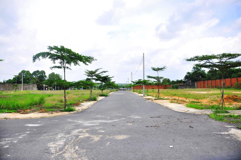 4 lần mua đất ngoại thành và những bài học đắt giá
