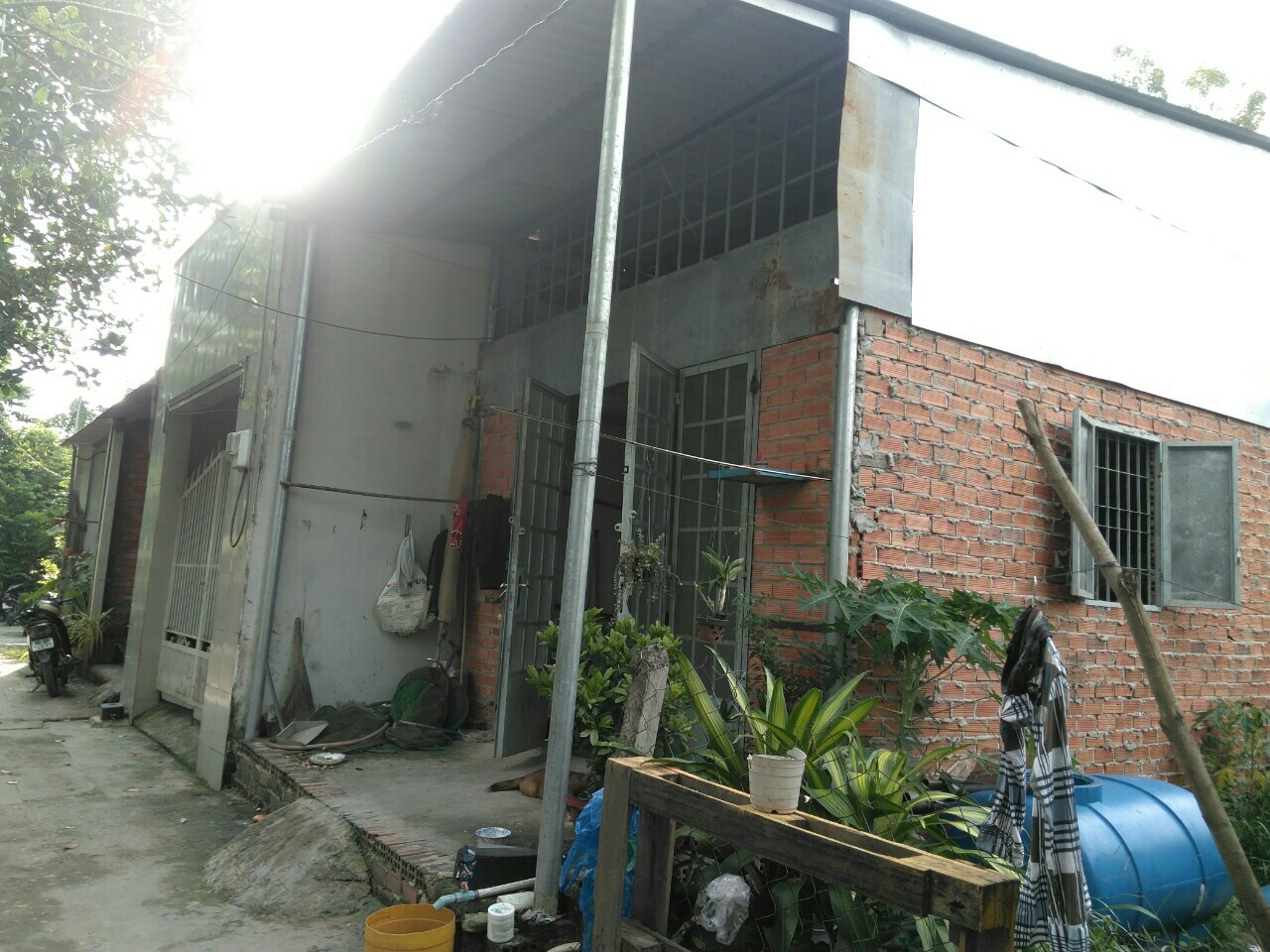 Mua đất giấy tay rồi... trắng tay