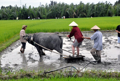 Trả lương cho các vị thật phí!
