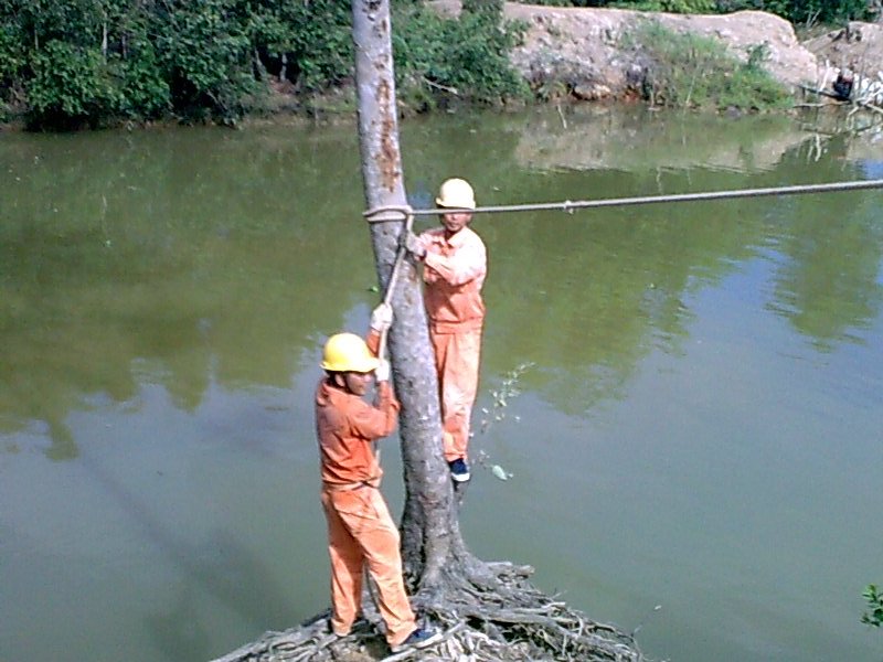 Bảo vệ lưới điện m&ugrave;a mưa b&atilde;o - Ảnh 2.