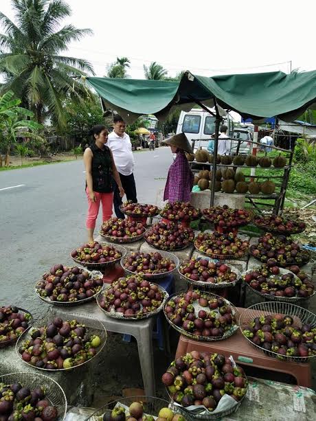 
Măng cụt đầy ắp, khắp b&atilde;i biển
