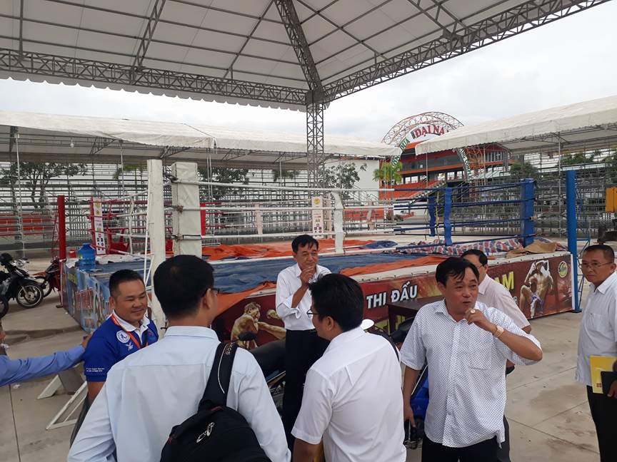 Ngày mai, đấu võ đài, đua mô tô tại Đại Nam