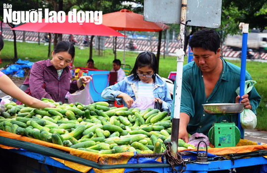 Bộ Lao động-Thương binh v&agrave; X&atilde; hội l&ecirc;n tiếng về đề xuất bỏ lương tối thiểu - Ảnh 2.