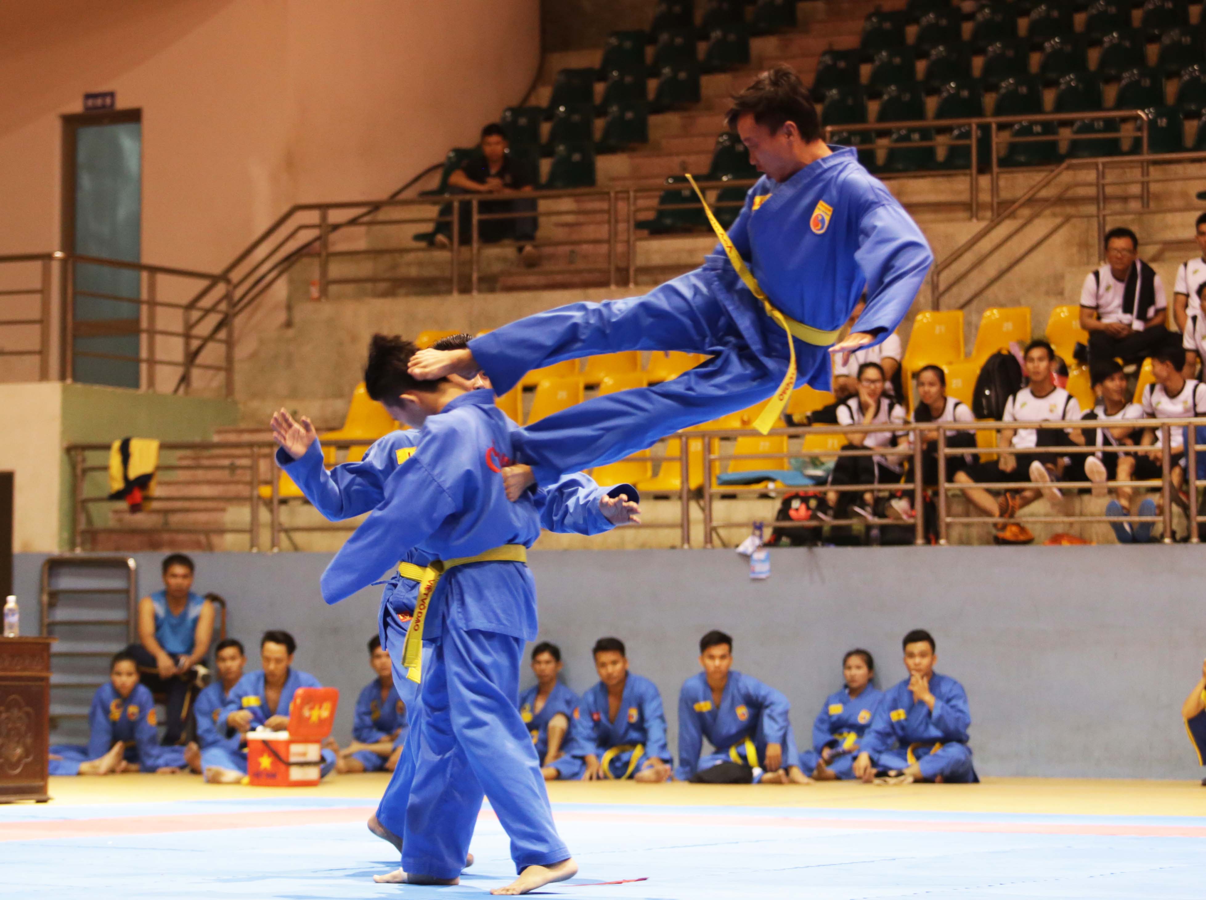Quyết t&acirc;m đưa vovinam trở lại SEA Games - Ảnh 1.
