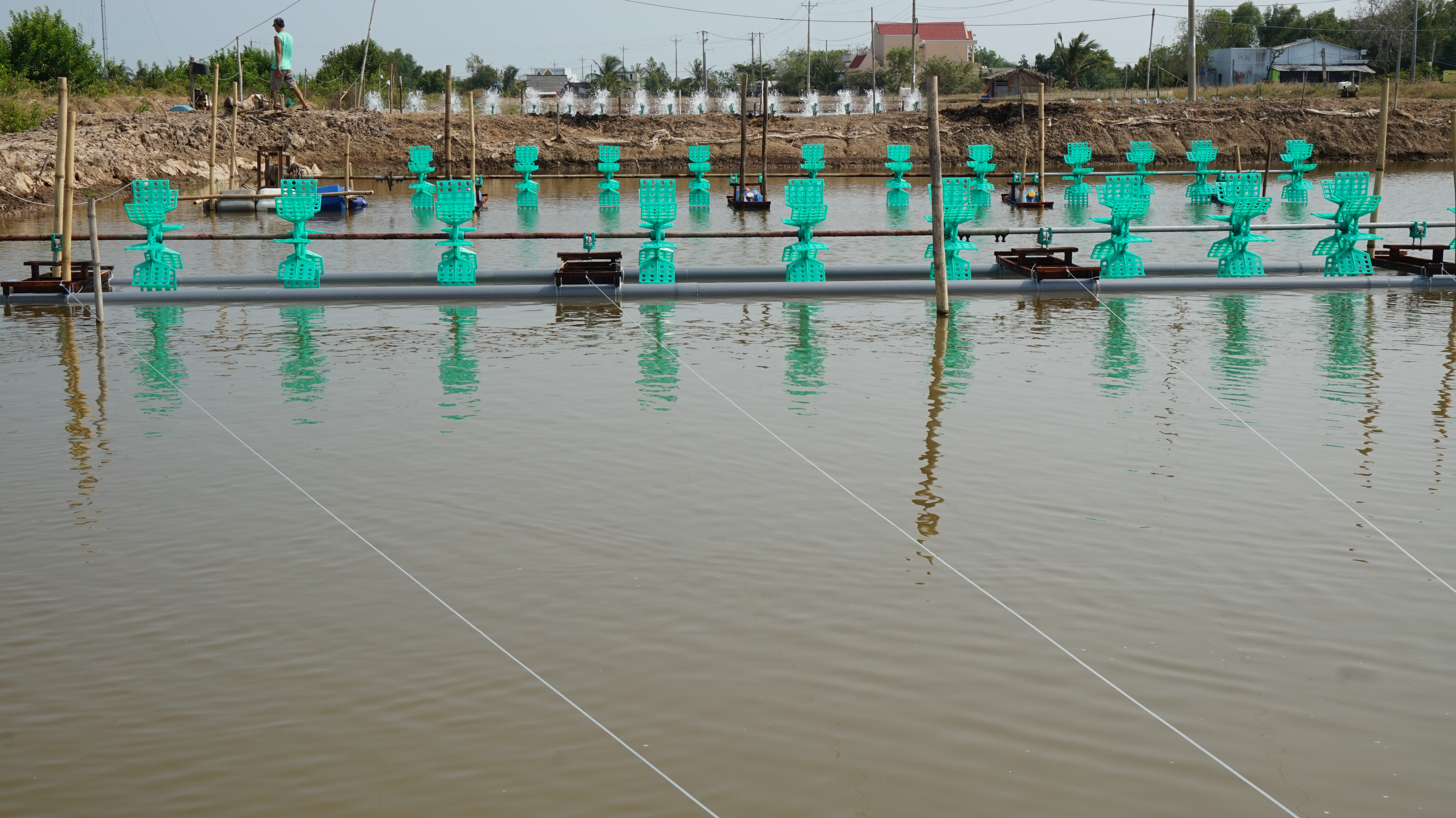 Nhà điện tiếp sức nhà nông nuôi tôm