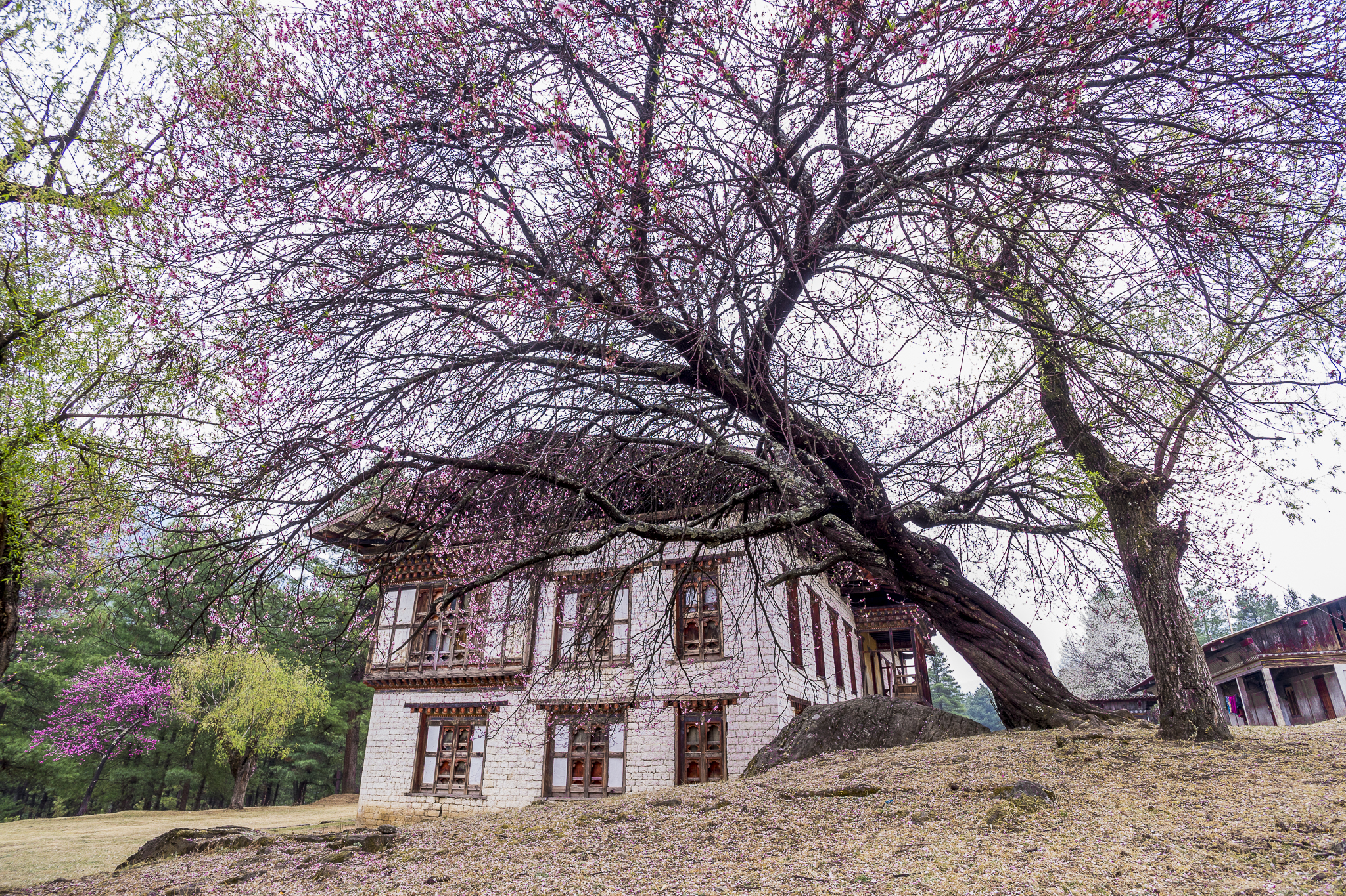 Bhutan trong mắt tôi
