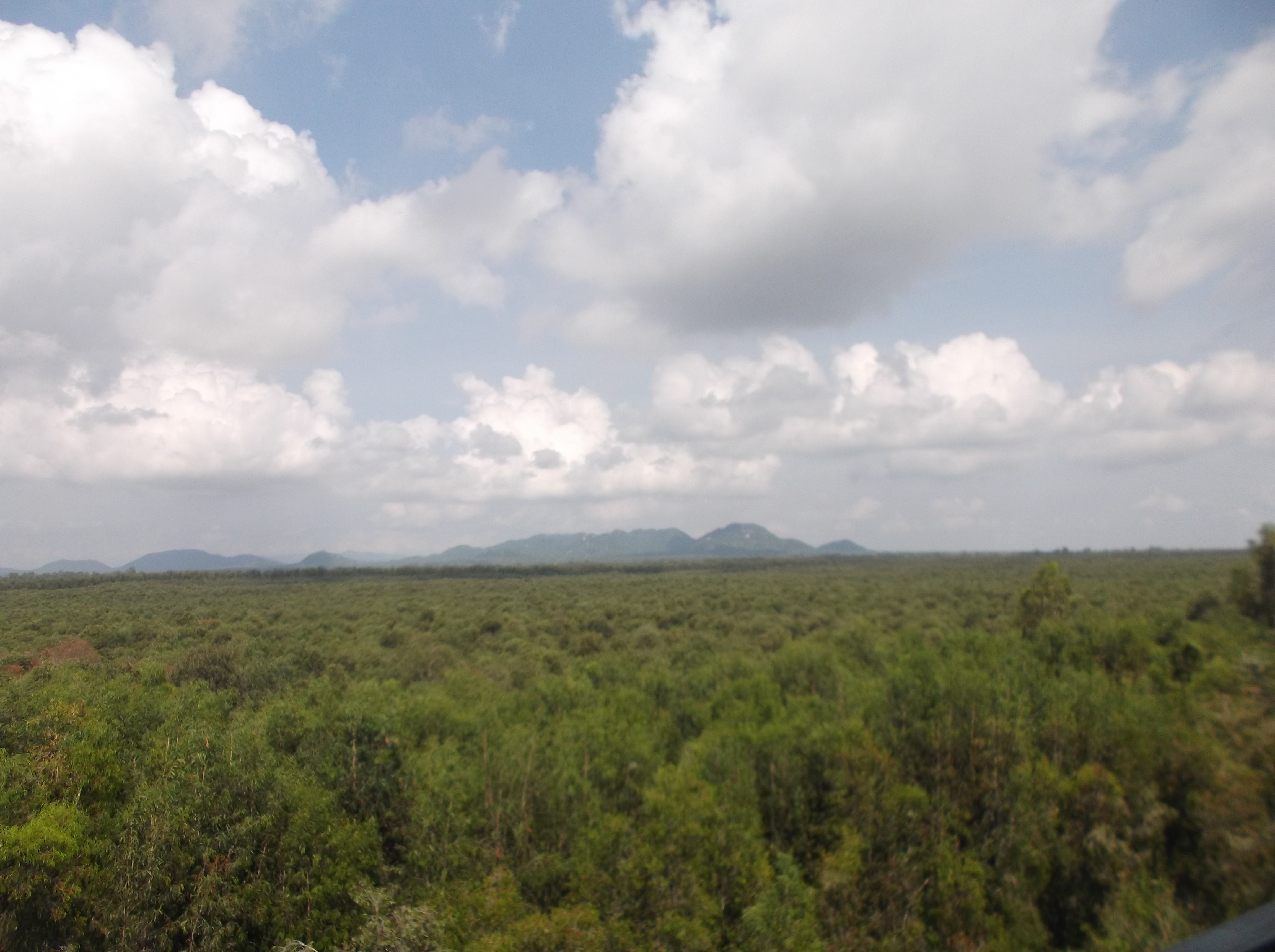 Lung linh mùa nước nổi ở An Giang - Ảnh 6.
