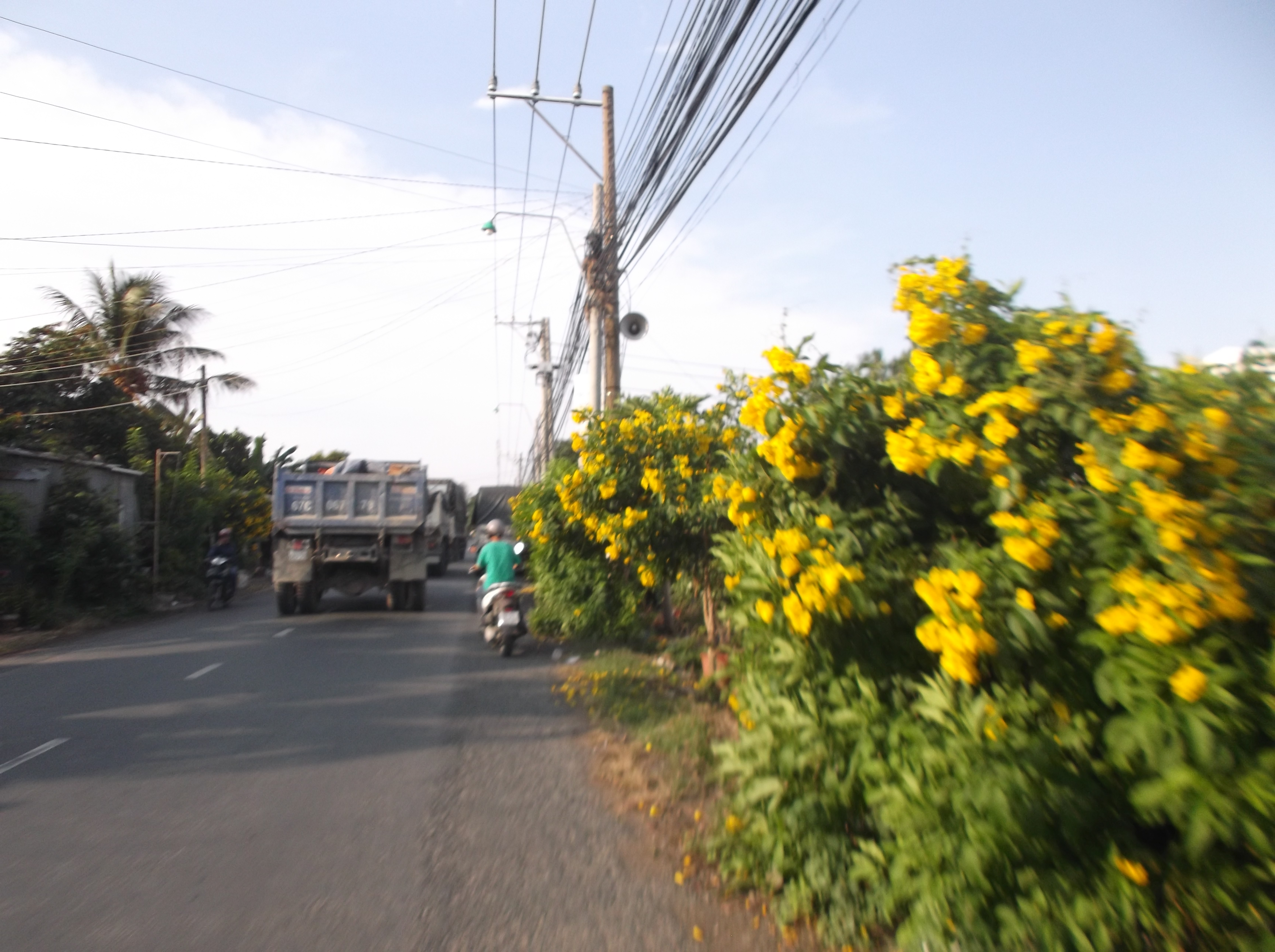 Lung linh mùa nước nổi ở An Giang - Ảnh 10.