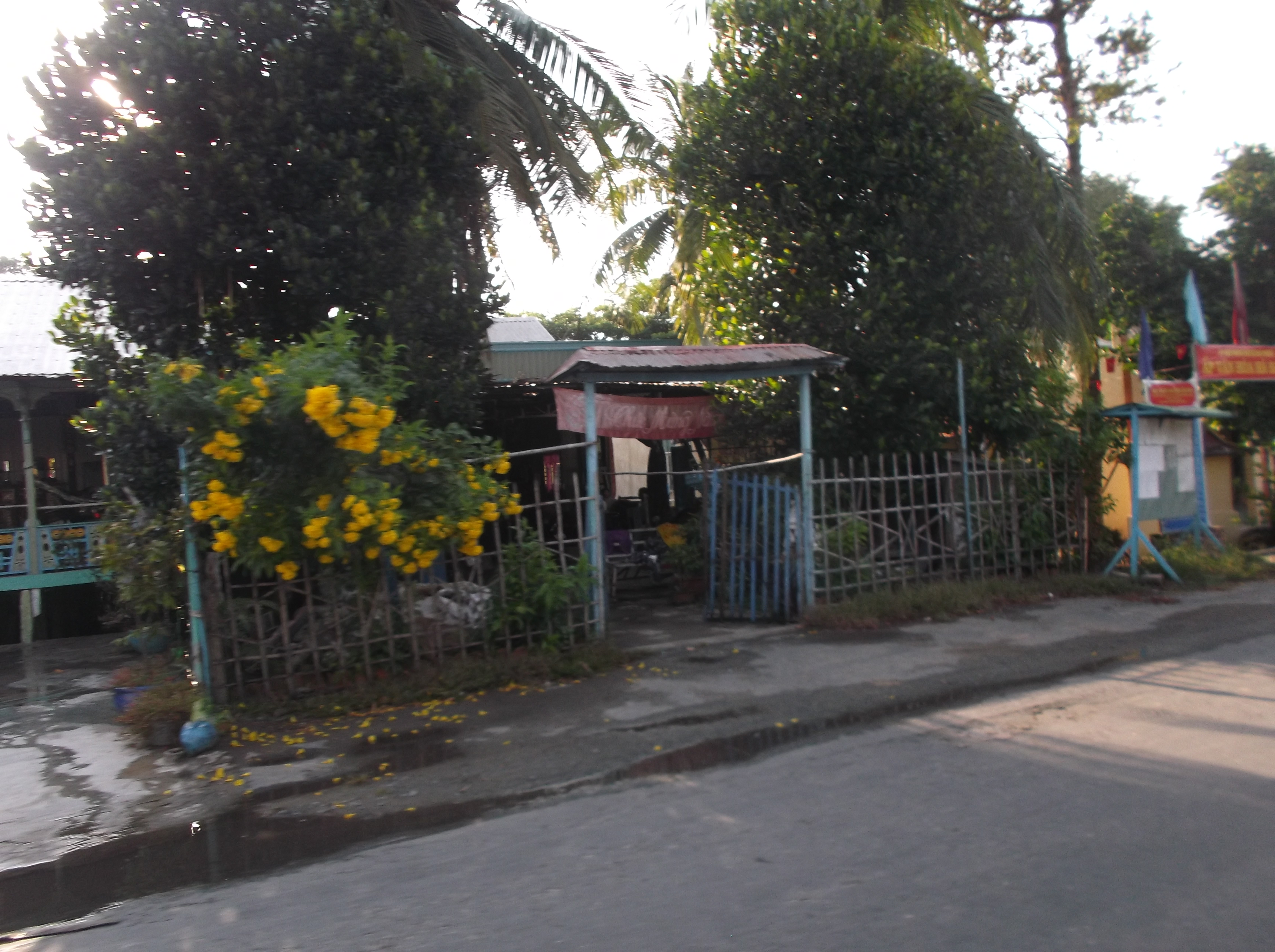 Lung linh mùa nước nổi ở An Giang - Ảnh 12.