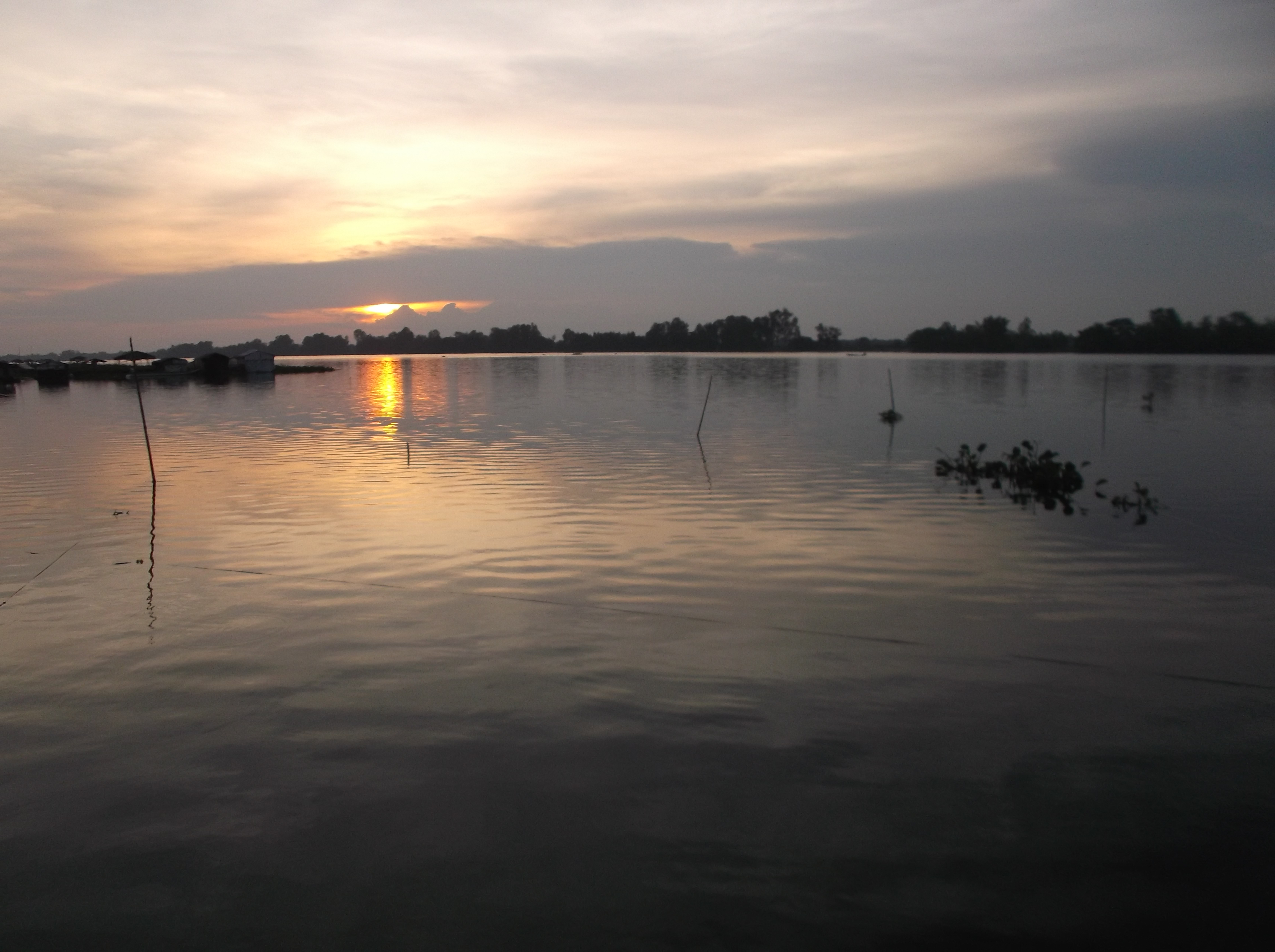 Lung linh mùa nước nổi ở An Giang - Ảnh 14.