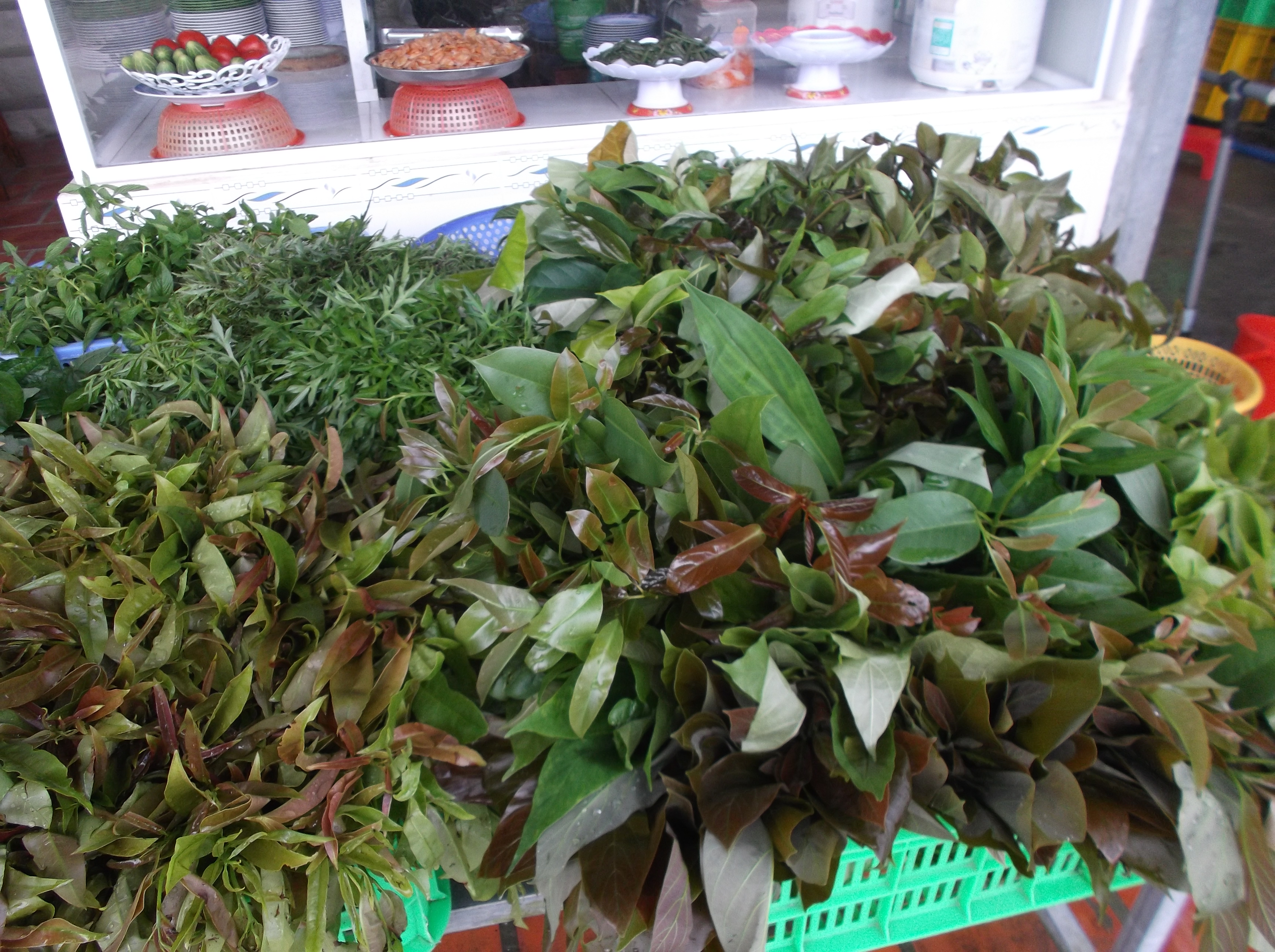 Lung linh mùa nước nổi ở An Giang - Ảnh 15.