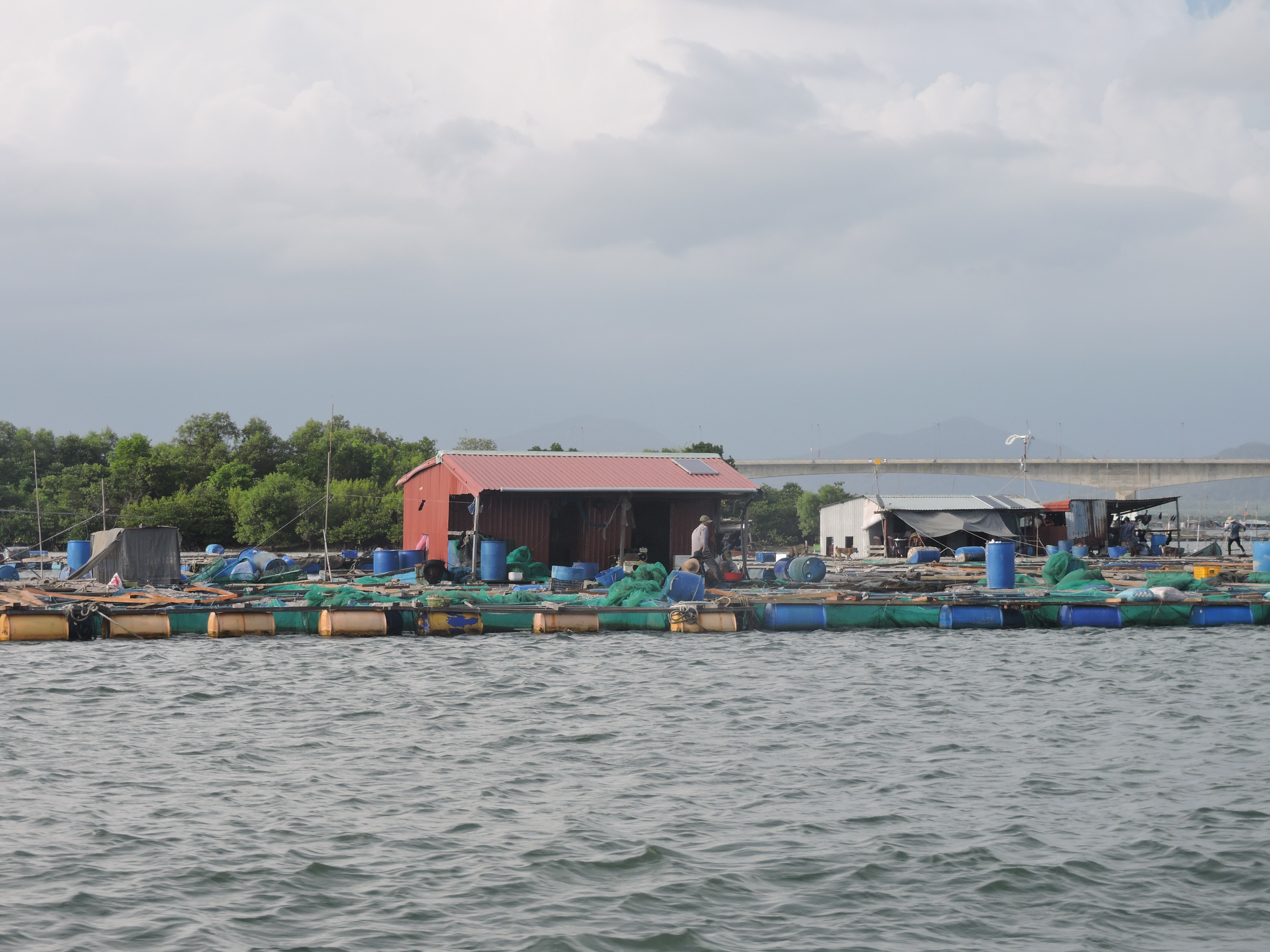 Theo tuyến sông Dinh từ vịnh Marina tới cầu Chà Và, là cảnh thiên nhiên sông nước với rừng ngập mặn, làng bè nuôi hải sản của người dân xã Long Sơn.