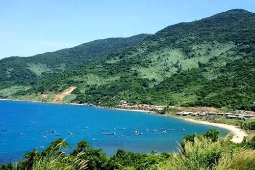 Một g&oacute;c Sơn Tr&agrave; 