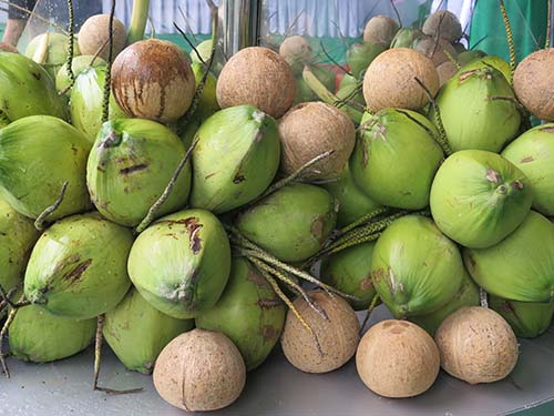 Ai ngờ nước dừa hỗ trợ “chuyện ấy”