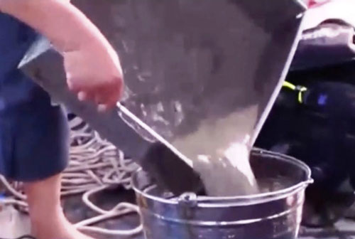 Vùng "nhận chìm" không phải biển chết