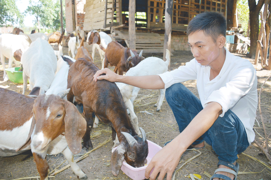 Khởi nghiệp từ.... dê - Ảnh 1.
