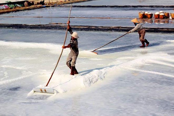 Xã đảo Thạnh An vươn lên từng ngày