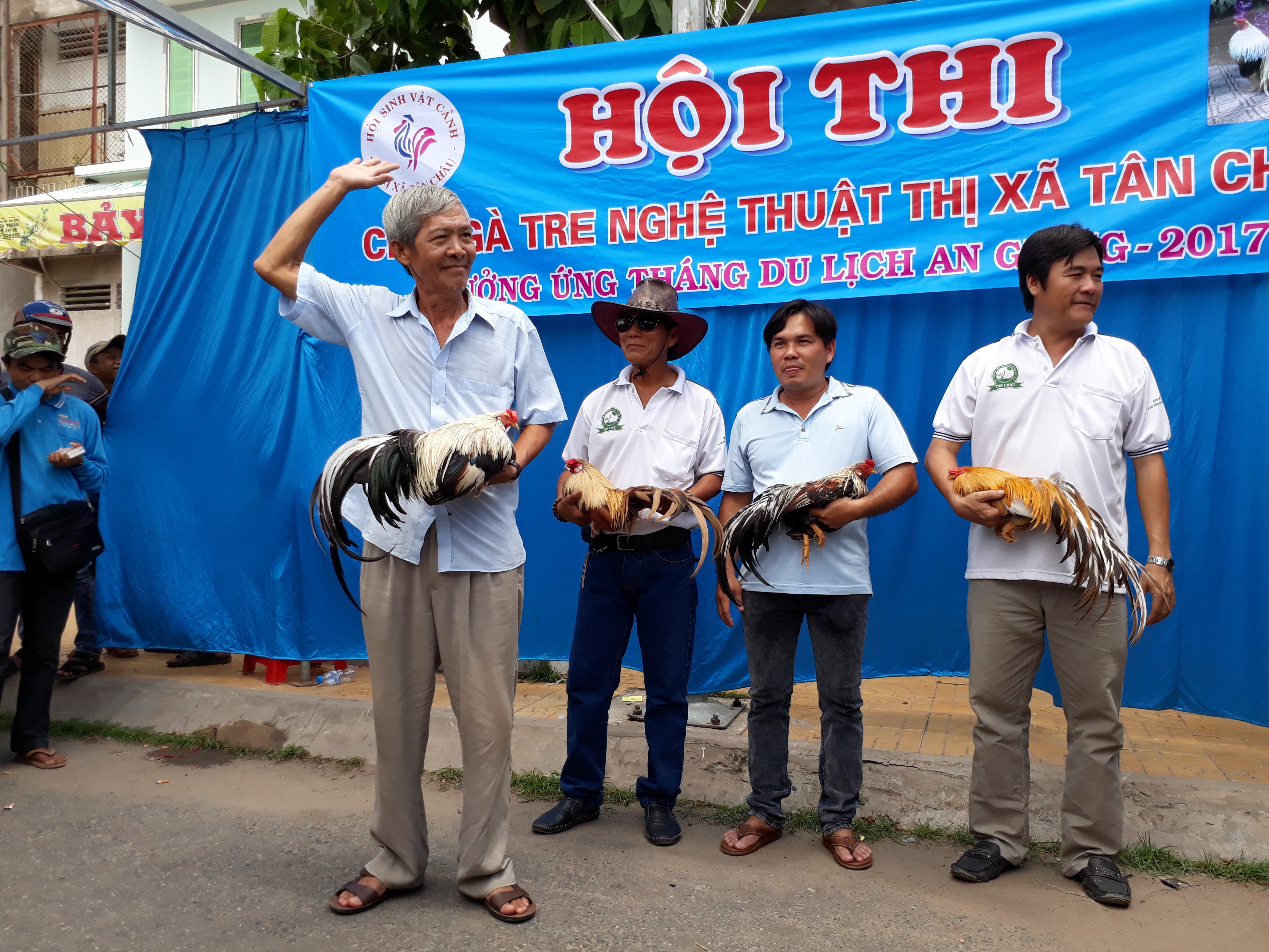 Chọi g&agrave; tre T&acirc;n Ch&acirc;u : Hết xu&yacute;t xoa đến cười sảng kho&aacute;i - Ảnh 11.