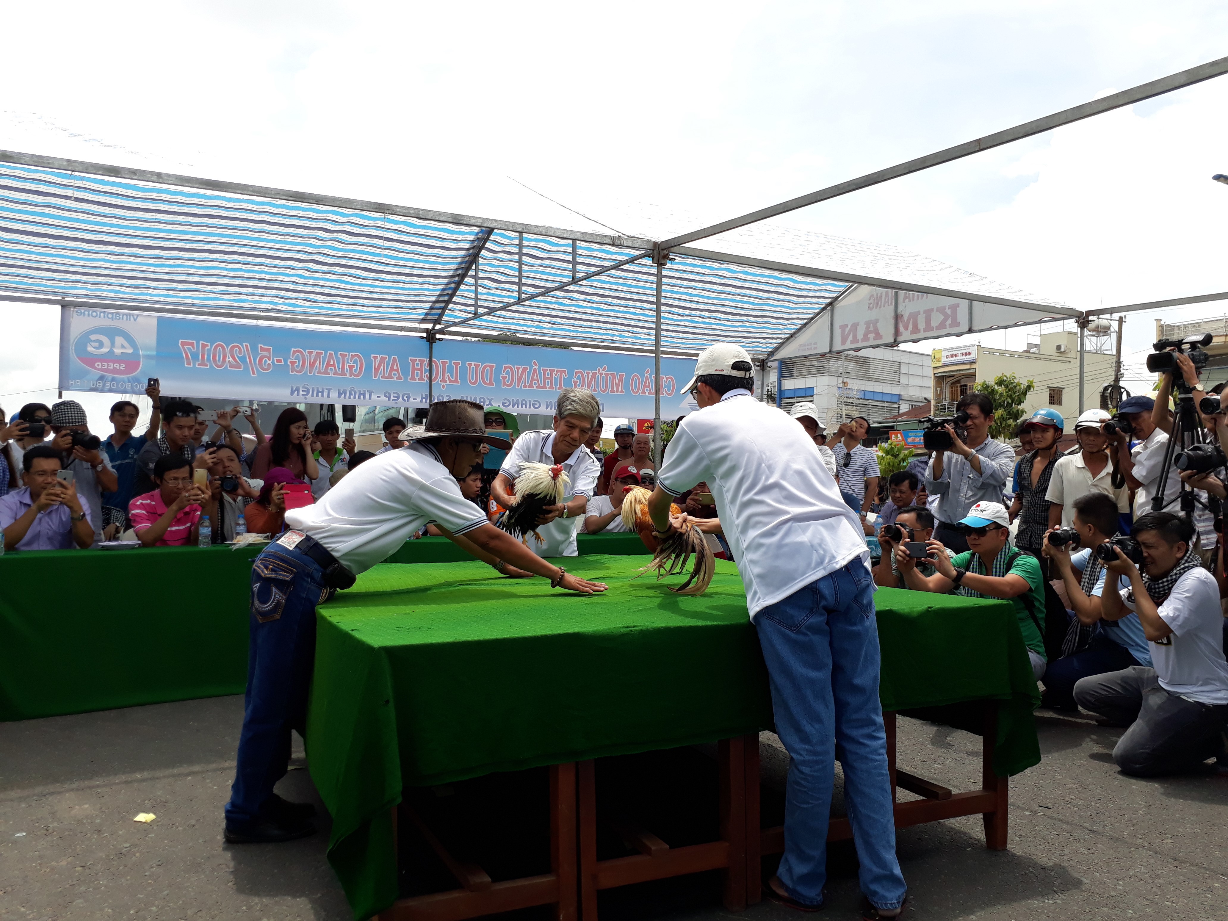Chọi g&agrave; tre T&acirc;n Ch&acirc;u : Hết xu&yacute;t xoa đến cười sảng kho&aacute;i - Ảnh 2.