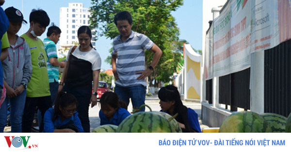 “Giải cứu” hay đẩy nông sản vào ngõ cụt?