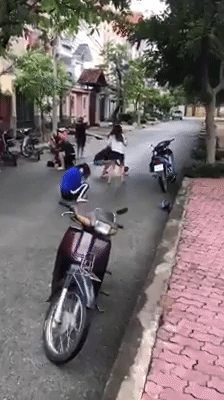 Xác minh clip thiếu nữ bị đánh dã man giữa đường - Ảnh 1.