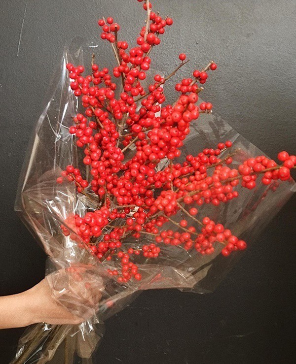 Nhập đào đông đỏ để chơi Tết - Ảnh 3.