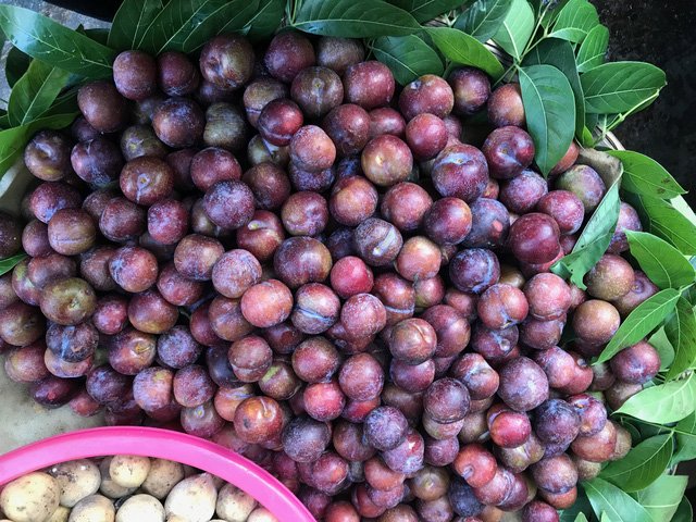 6 loại tr&aacute;i c&acirc;y Trung Quốc đang tr&agrave;n ngập chợ Việt Nam - Ảnh 4.