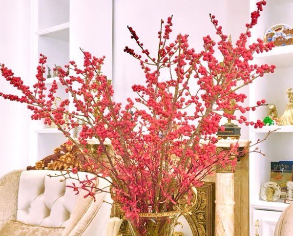 Nhập đào đông đỏ để chơi Tết