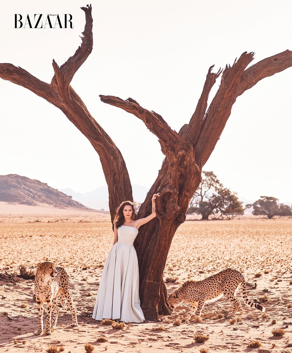 Angelina Jolie đẹp cùng báo đốm - Ảnh 1.