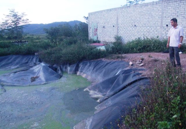 Đi chăn bò, bé gái 9 tuổi rơi xuống hồ biogas tử vong