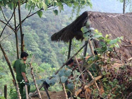 Ngăn chặn người phụ nữ đâm chết nghi phạm cưỡng hiếp