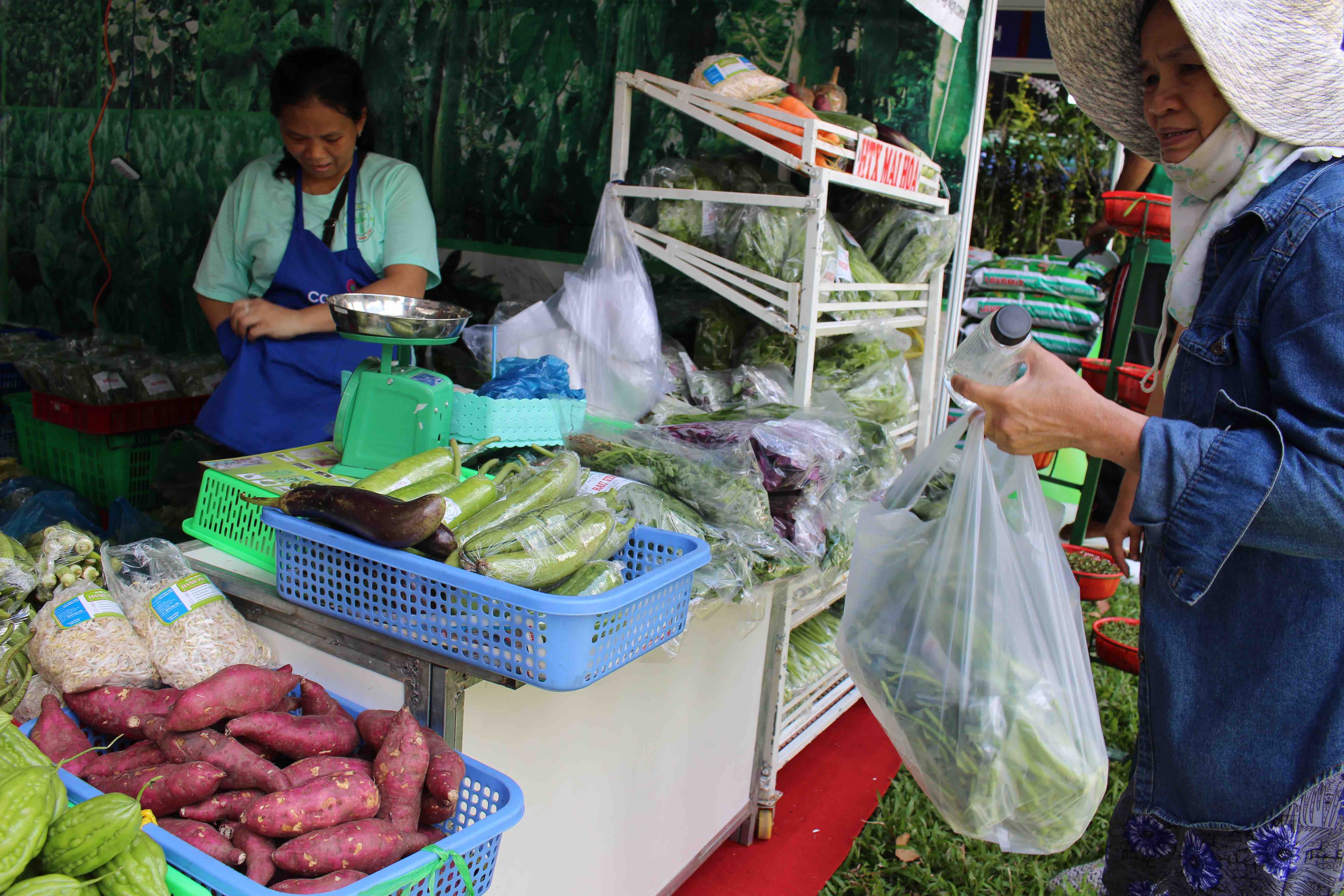 Nghe được tin c&oacute; hội chợ n&ocirc;ng sản, c&ocirc; Ph&uacute; (ngụ Phạm Văn Hai, quận T&acirc;n B&igrave;nh) c&oacute; mặt rất sớm để mua được rau sạch tại hội chợ.