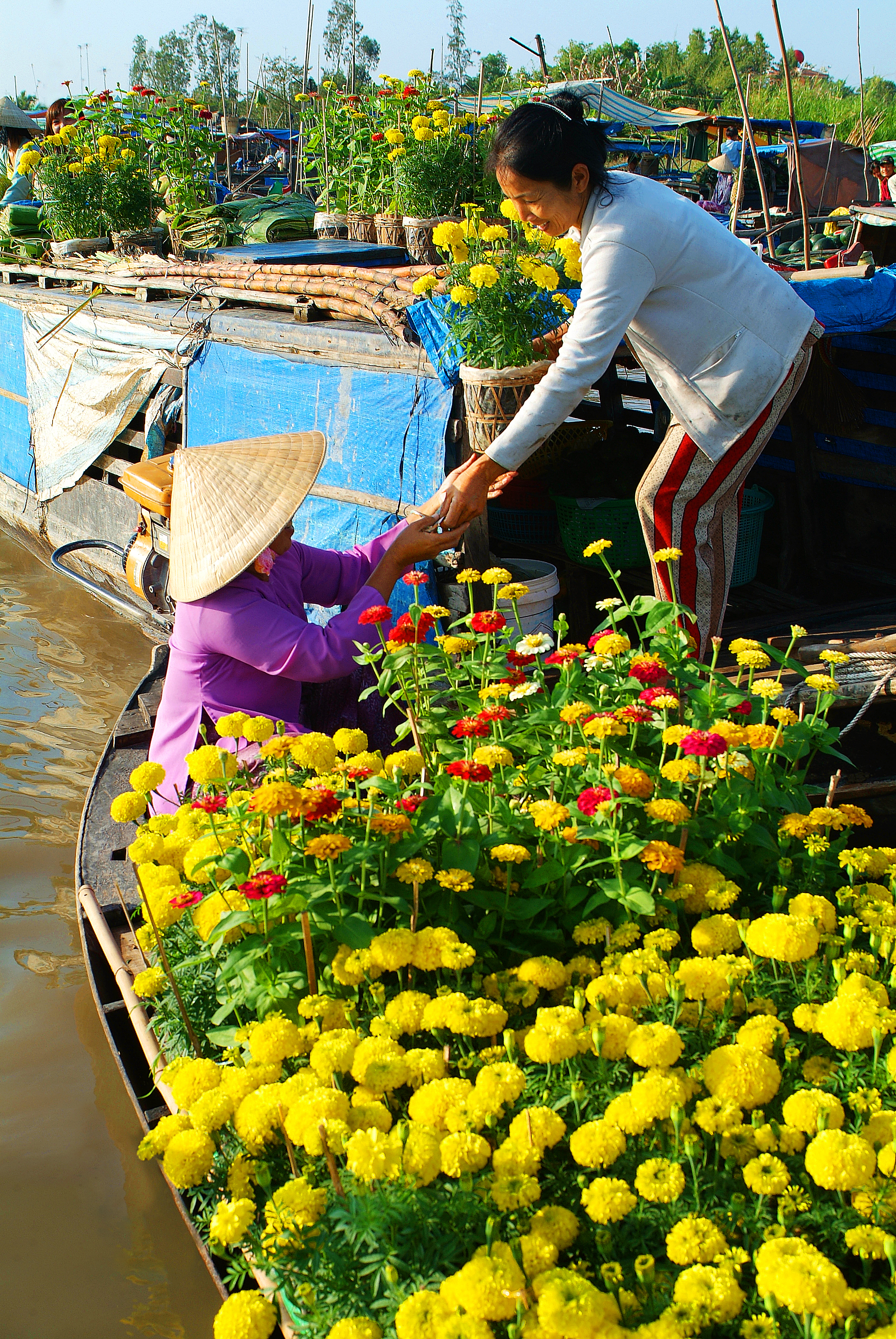 Ảnh: NGUYỄN &Aacute;