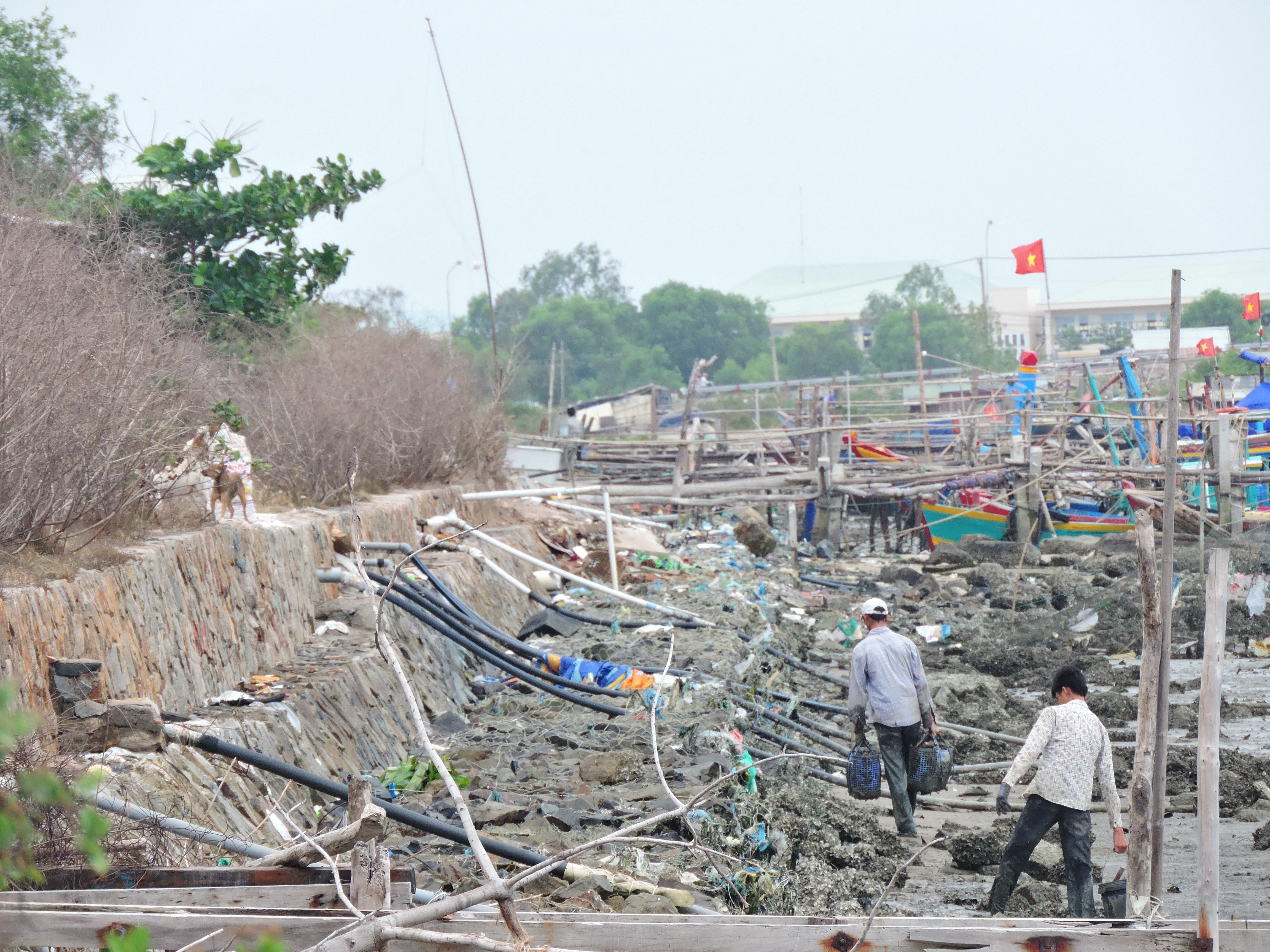 Ô nhiễm bao vây cửa biển Vũng Tàu