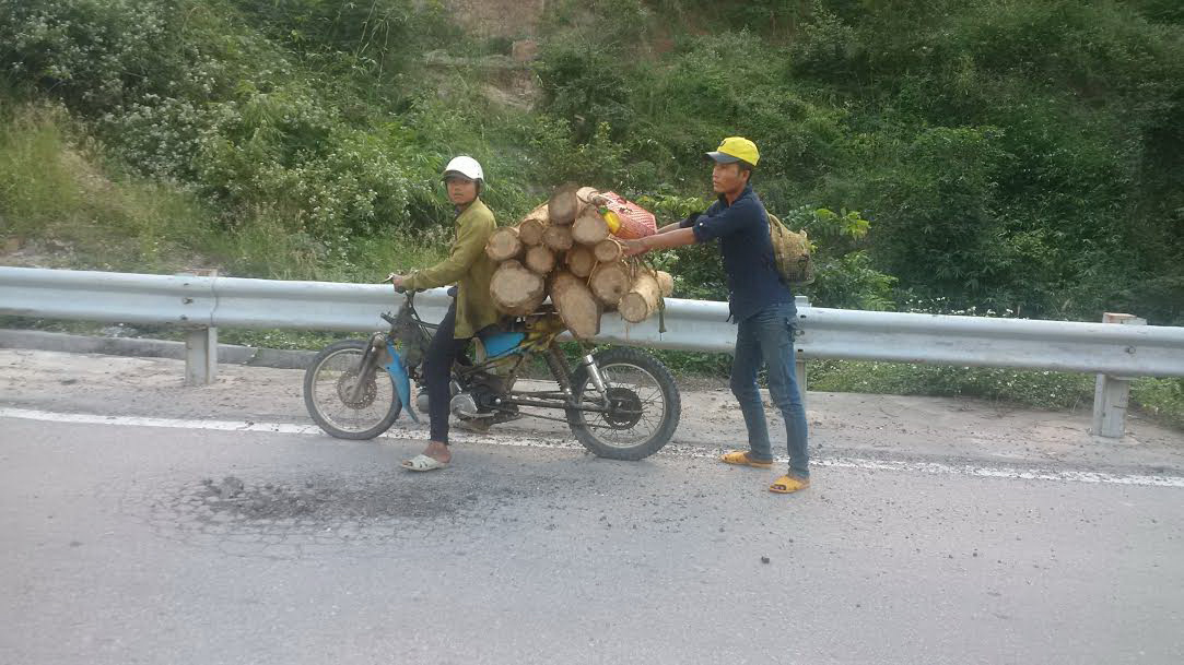 Phá rừng để sấy thuốc lá
