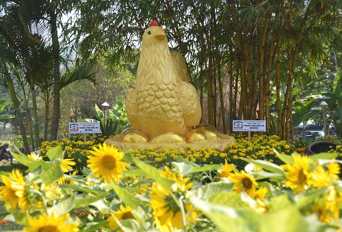 Xuân no ấm