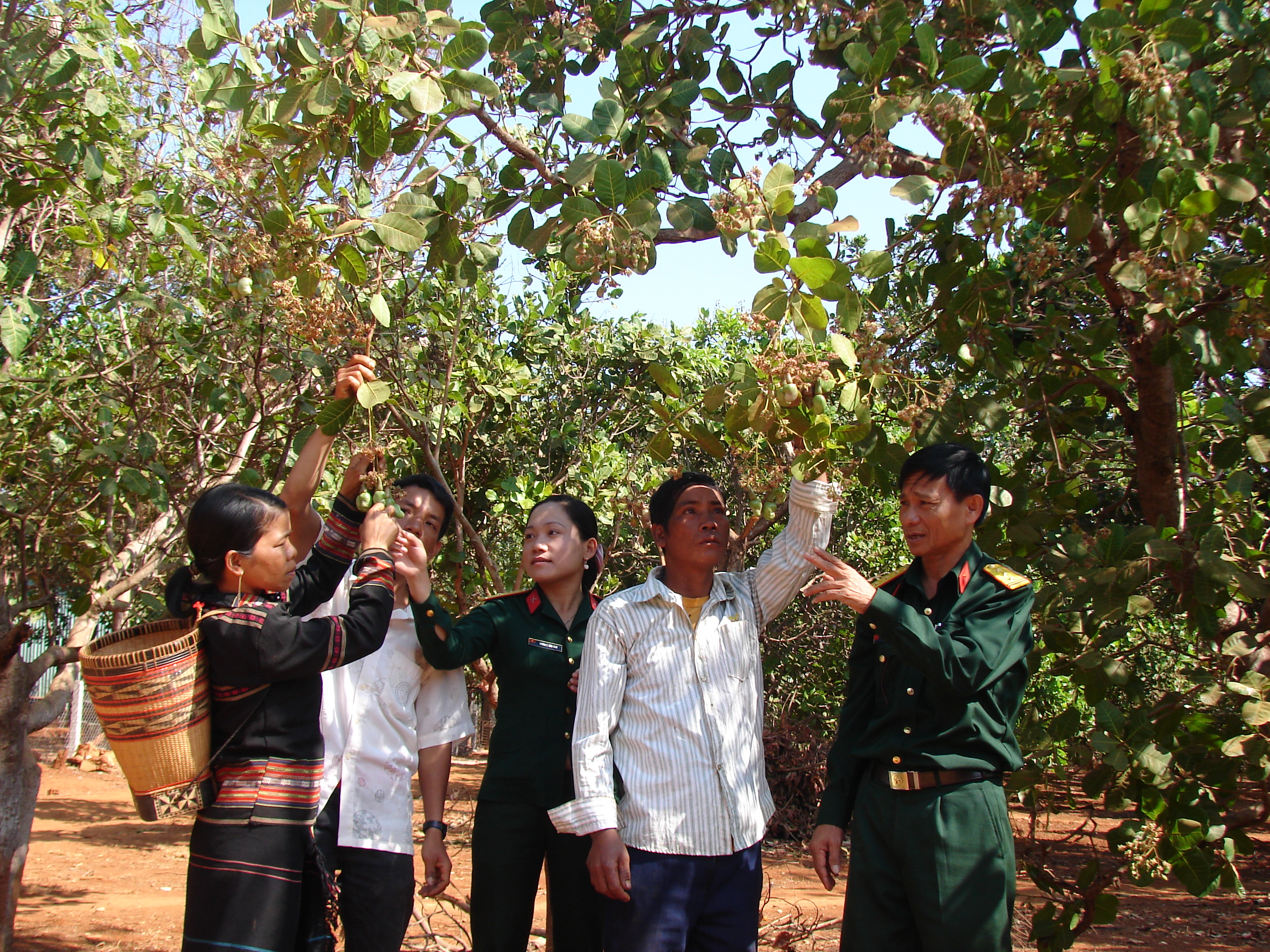 Tình quân dân giữa ngàn xanh