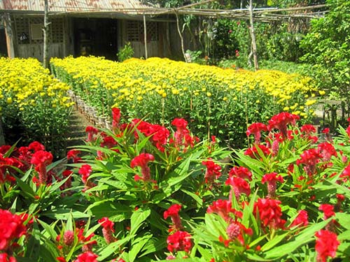 Đồng Th&aacute;p ph&aacute;t huy tiềm năng du lịch - Ảnh 2.