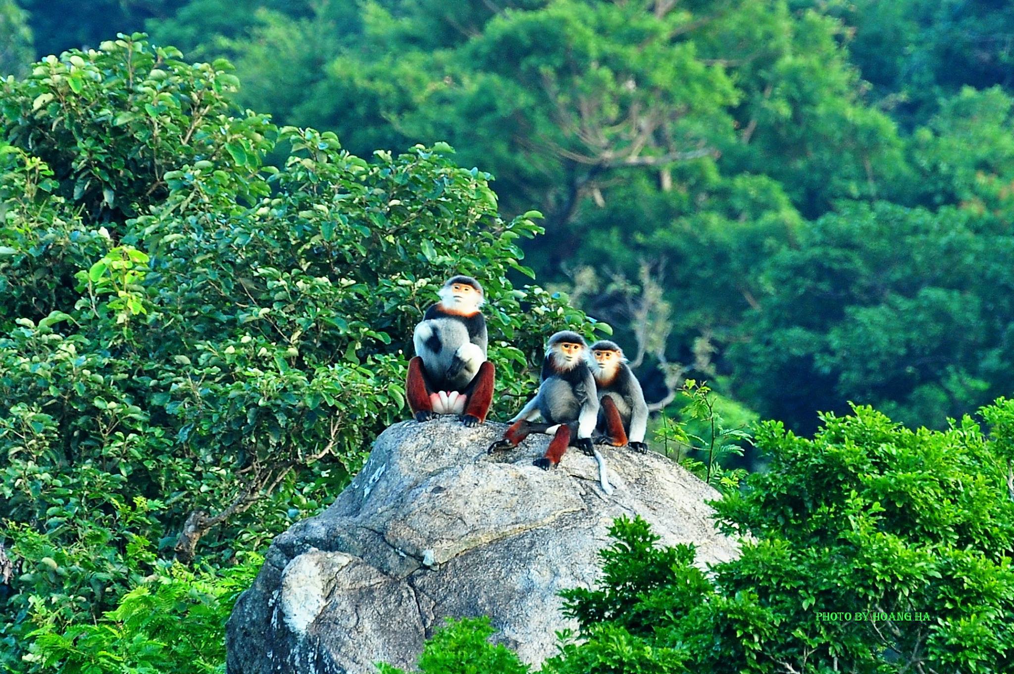 
Phần thưởng cho h&agrave;nh động dũng cảm chinh phục đỉnh cao. Kh&ocirc;ng phải l&agrave; một nữ ho&agrave;ng chờ đợi m&agrave; những hai! (T&aacute;c giả: Ho&agrave;ng H&agrave;)

