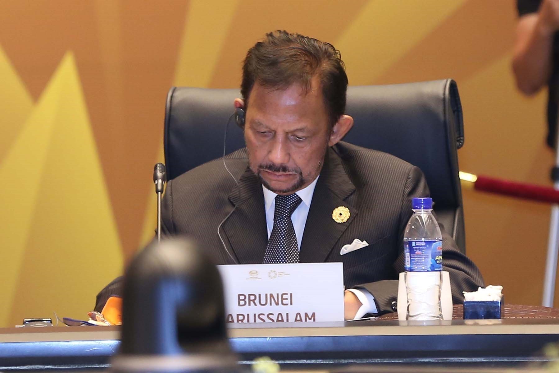 Chủ tịch nước: Th&ocirc;ng qua Tuy&ecirc;n bố Đ&agrave; Nẵng tại APEC 2017 - Ảnh 17.