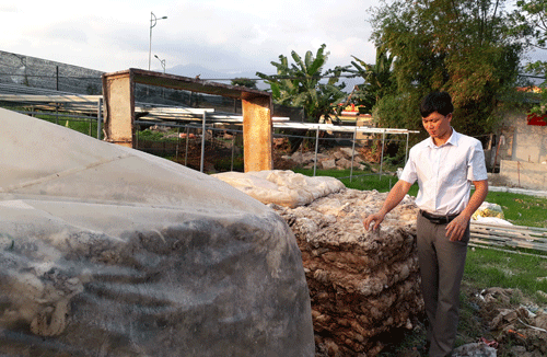 Tỉ phú nấm - Ảnh 2.