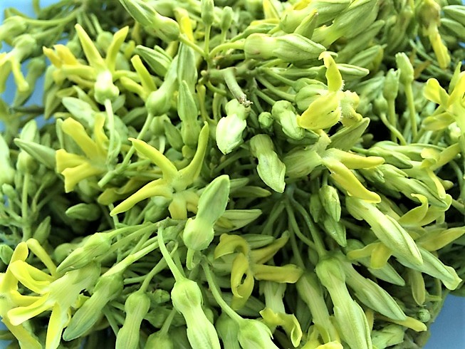 Ngon hết ý bông thiên lý xào thịt bò - Ảnh 3.